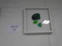 綠水珠 (3).JPG